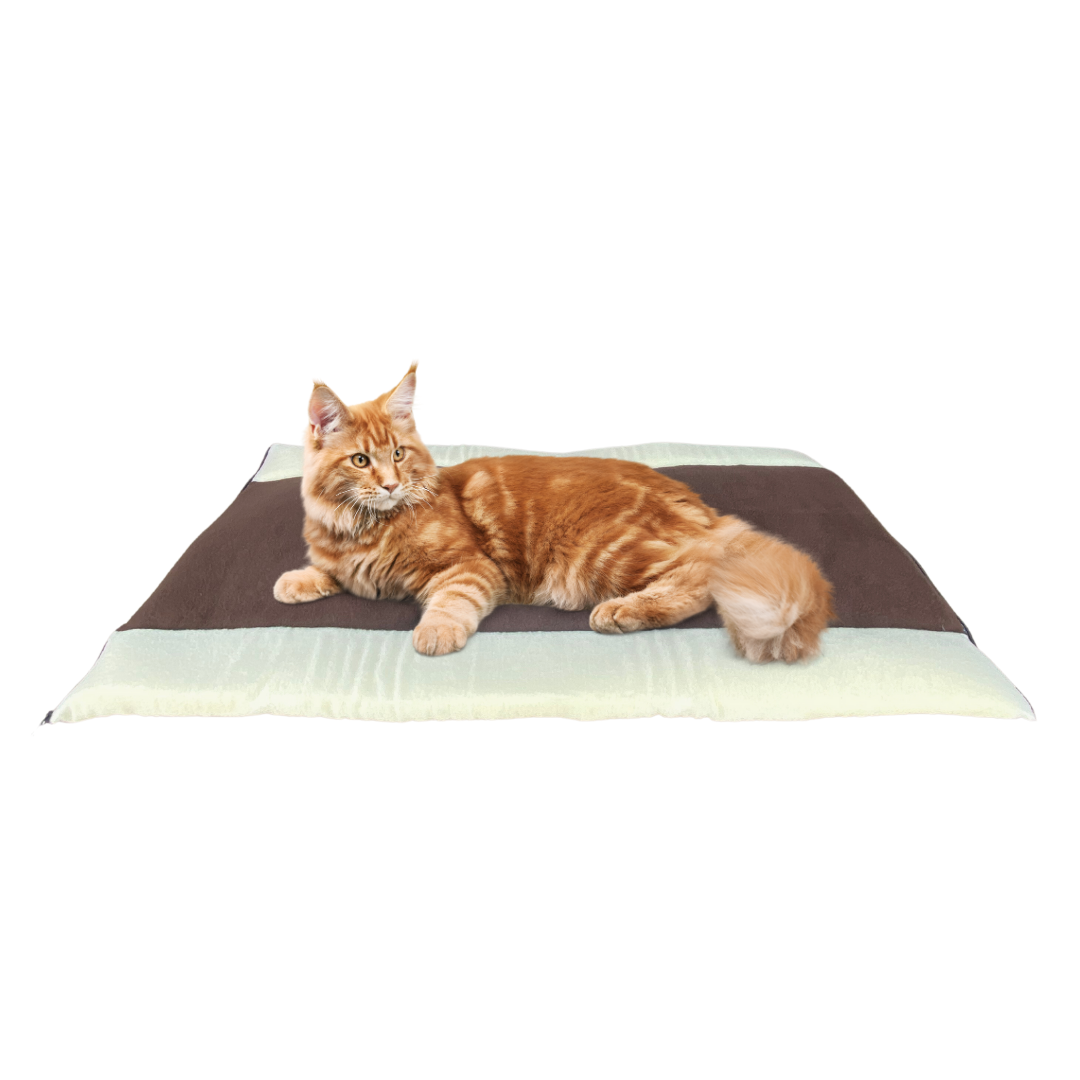Cama 2 en 1 para gato