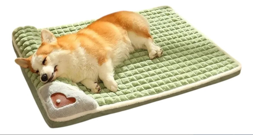 Cama Ortopedica para Mascotas