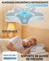 Inovoluxe DreamAling - Almohada Cervical Ergonómica